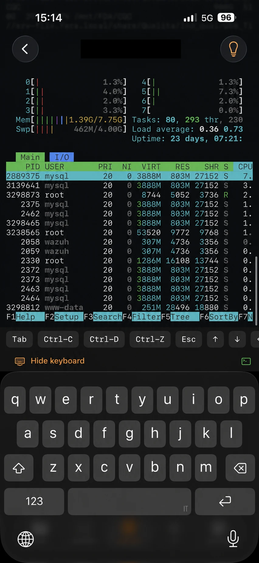 Kodo SSH / htop